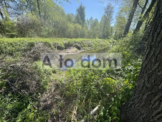 Zdjęcie 2