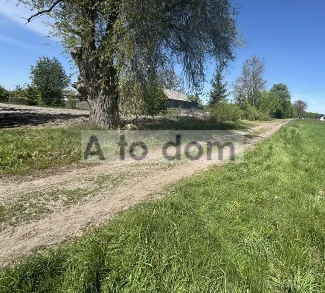 Zdjęcie 3