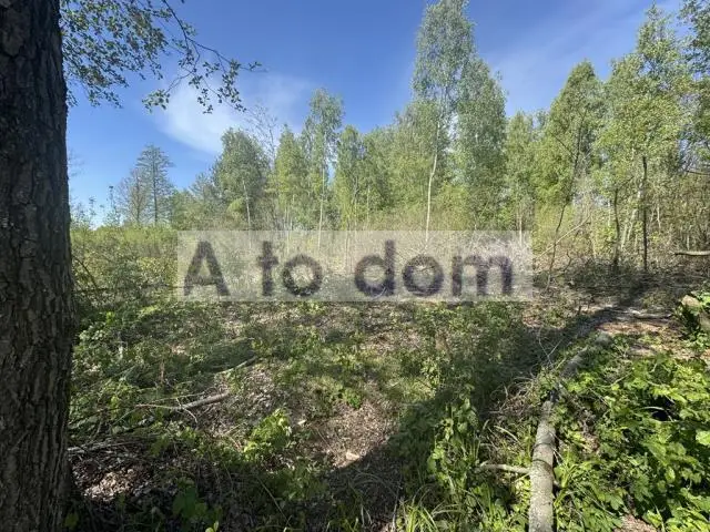 Zdjęcie 6