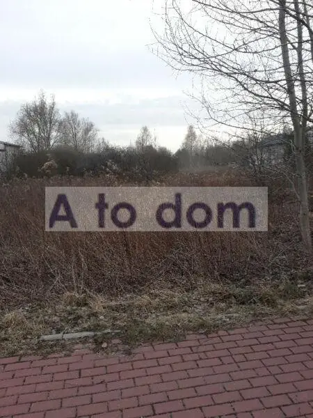 Zdjęcie 2