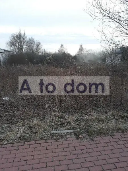 Zdjęcie 3
