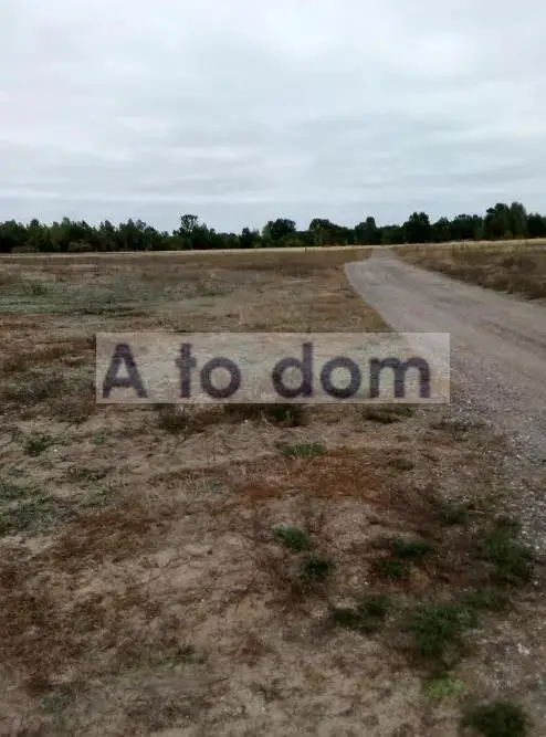 Zdjęcie 2