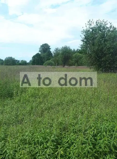 Zdjęcie 2