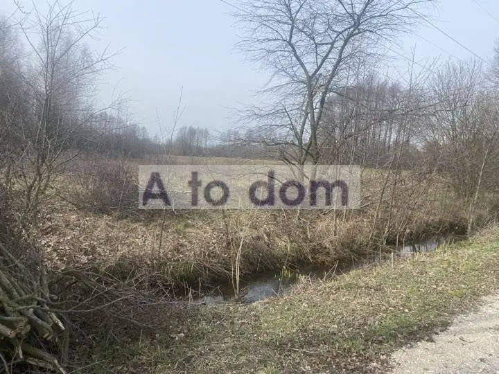 Zdjęcie 2