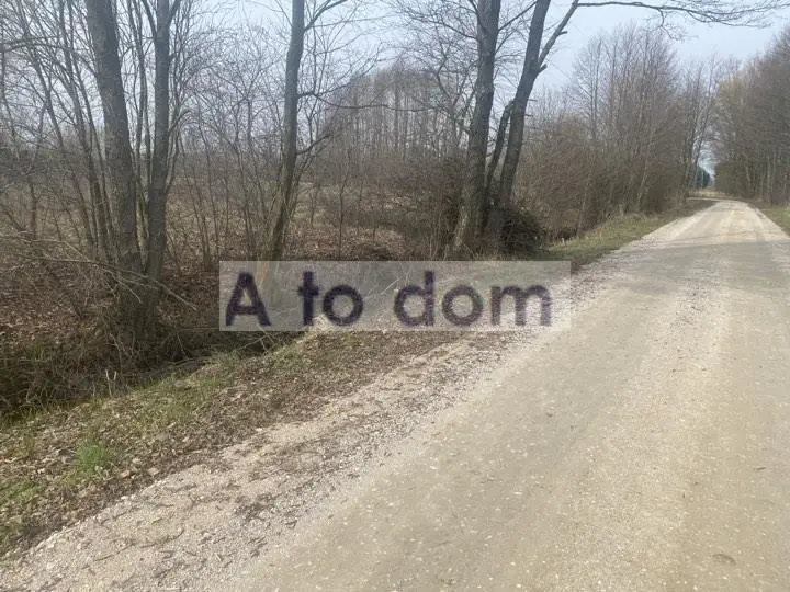 Zdjęcie 3