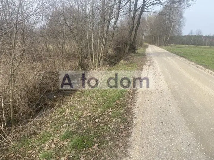 Zdjęcie 4
