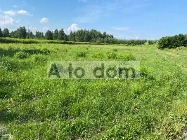 Zdjęcie 2