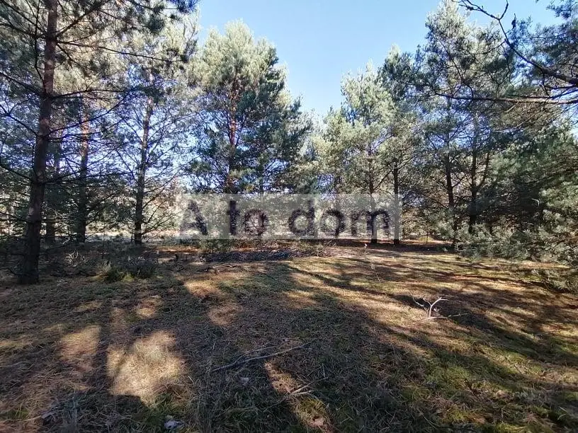 Działka rolna 1,02 ha, Ruda-Czernik
