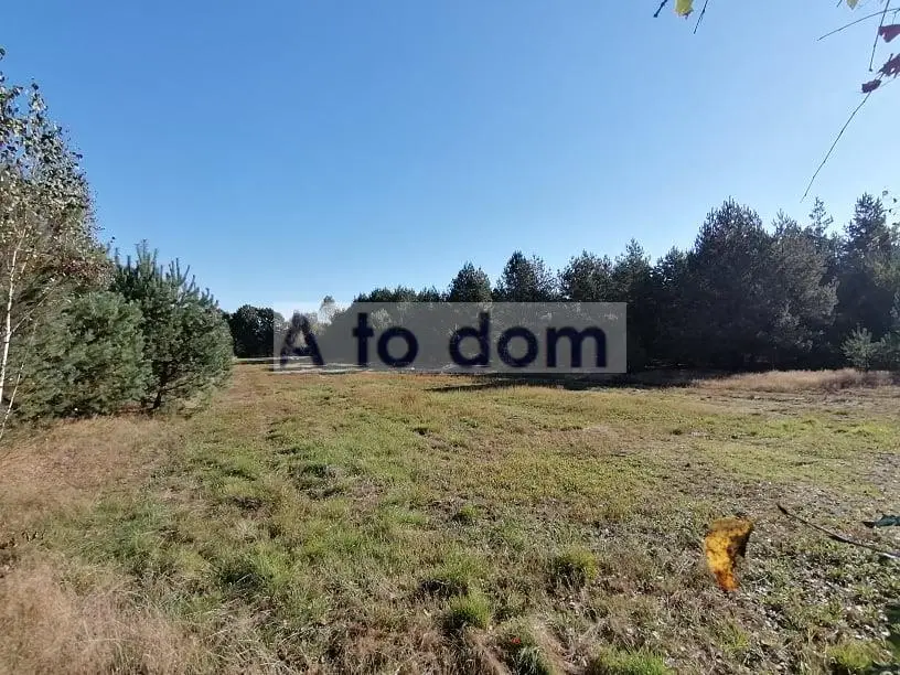 Zdjęcie 4