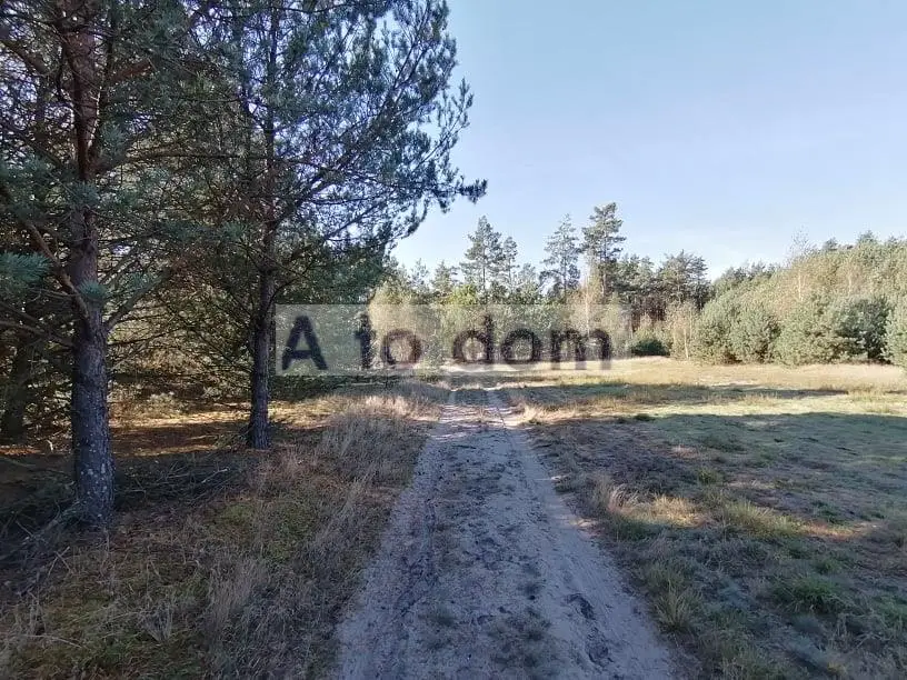 Zdjęcie 5