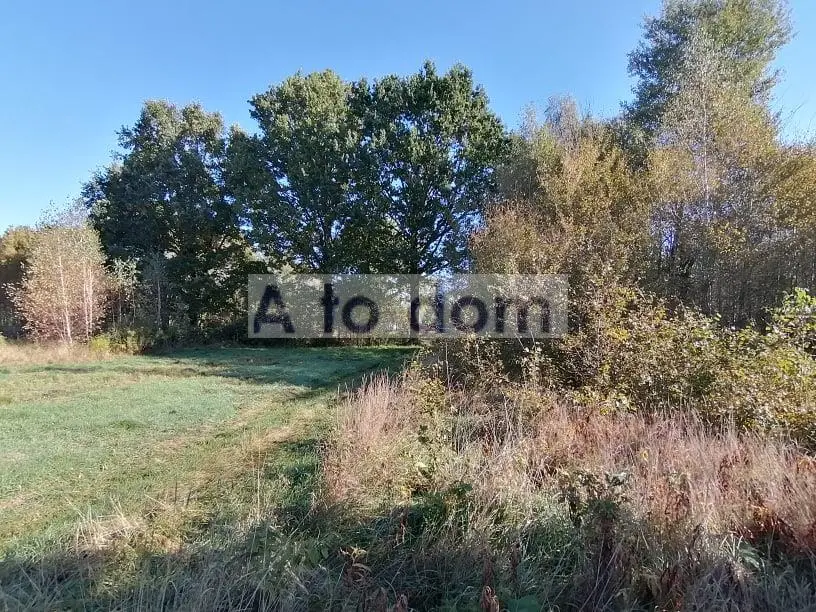 Zdjęcie 7