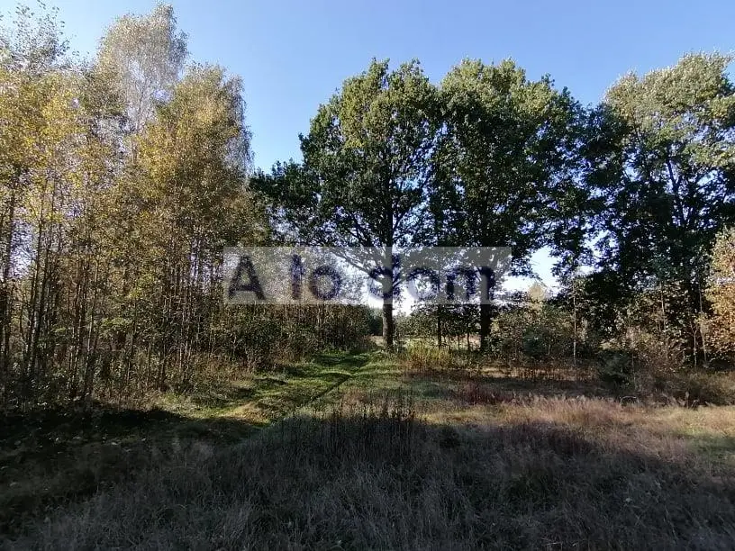 Zdjęcie 8
