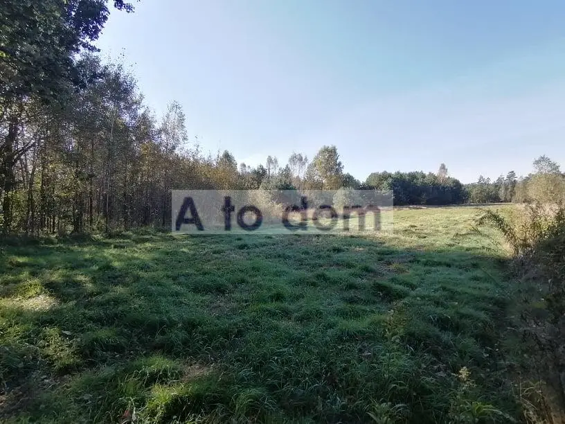 Zdjęcie 9