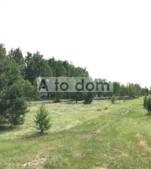 Zdjęcie 2