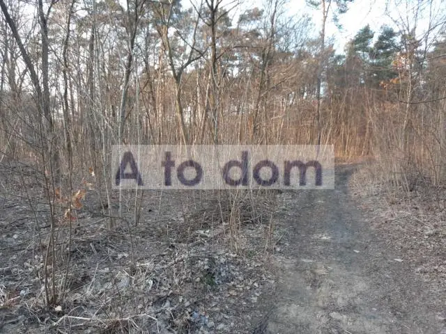 Zdjęcie 3