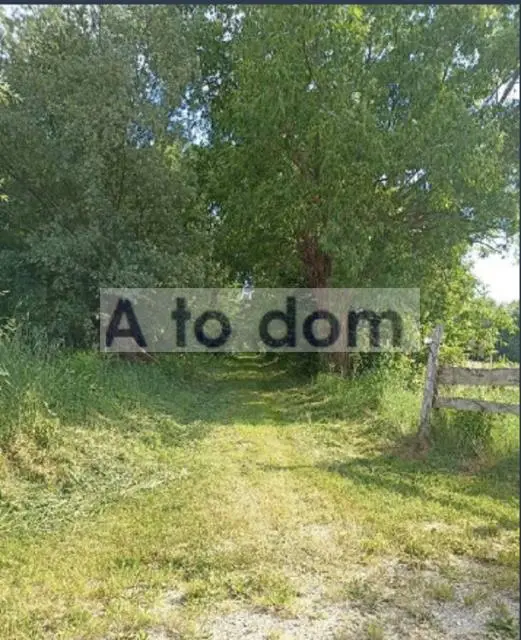 Zdjęcie 3