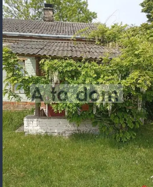 Zdjęcie 4
