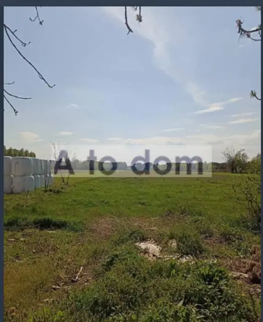 Zdjęcie 6