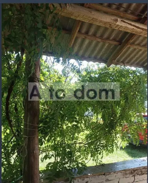 Zdjęcie 7