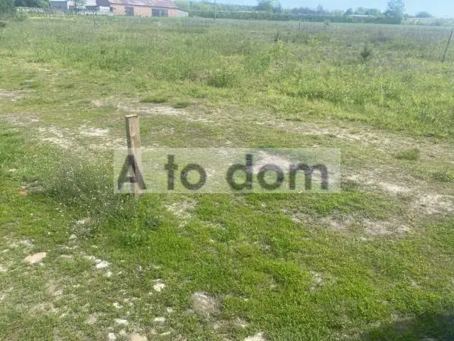 Zdjęcie 4