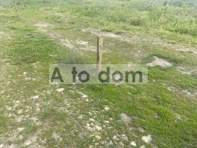 Zdjęcie 5