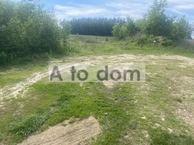 Zdjęcie 6