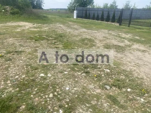 Zdjęcie 7