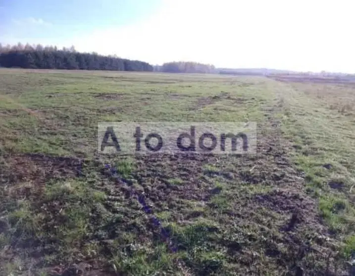 Działka rolna 3,53 ha, Rojków