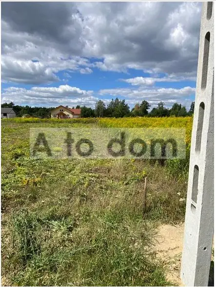 Zdjęcie 3