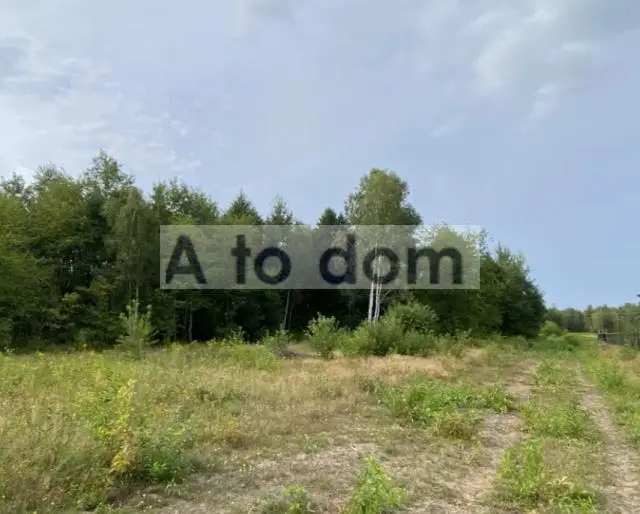 Zdjęcie 3
