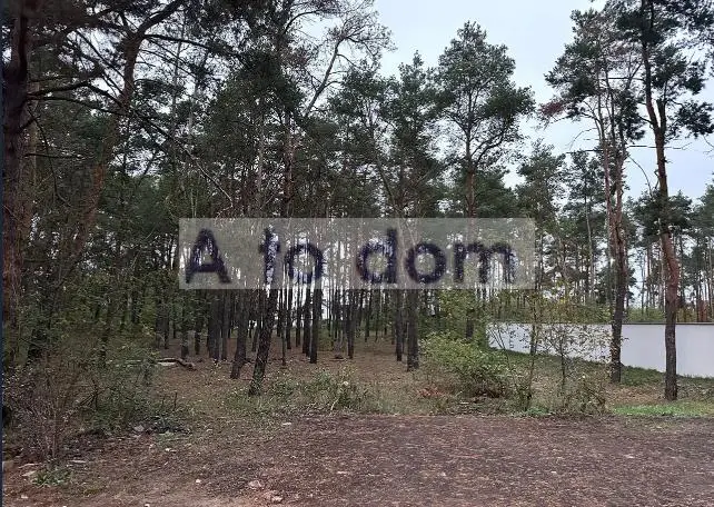 Zdjęcie 2