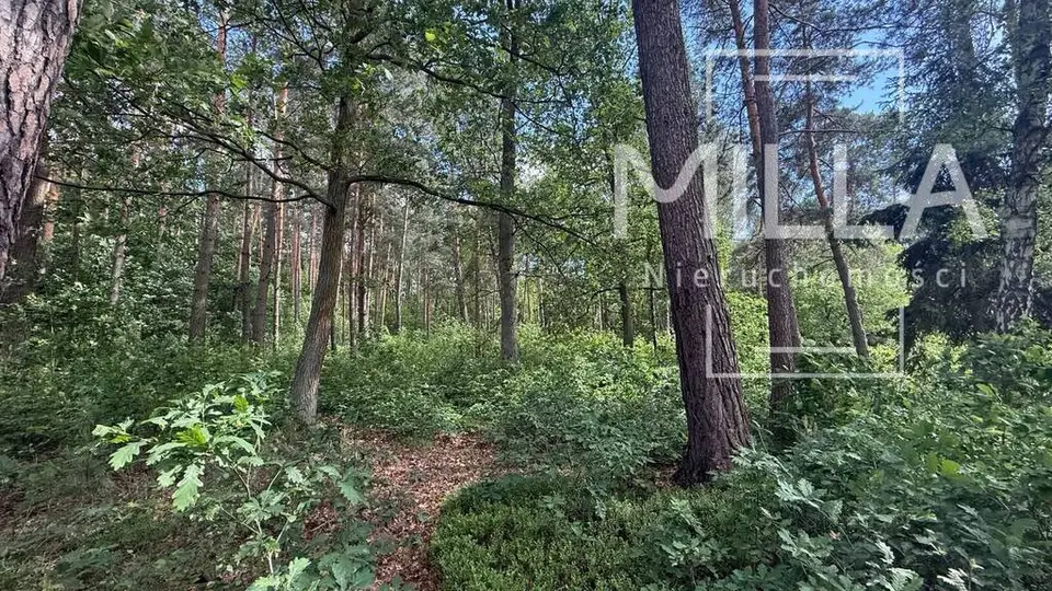 Działka budowlana 1 773 m², Sokolniki-Las