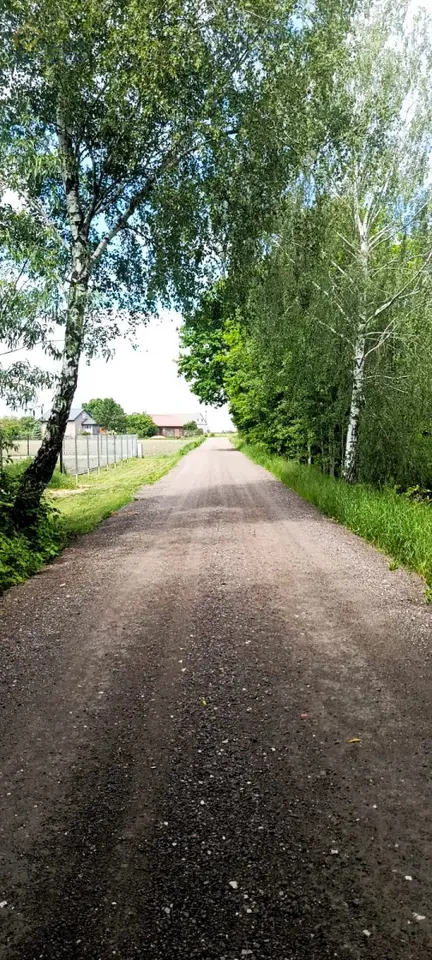 Zdjęcie 5