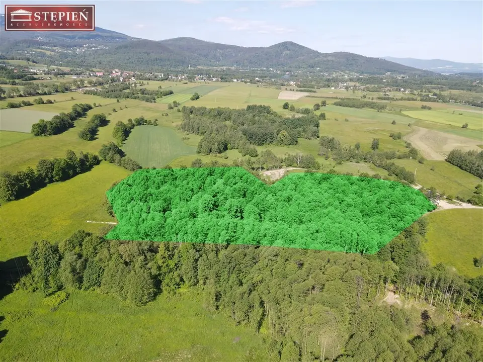Działka rolna 2,96 ha, Kostrzyca