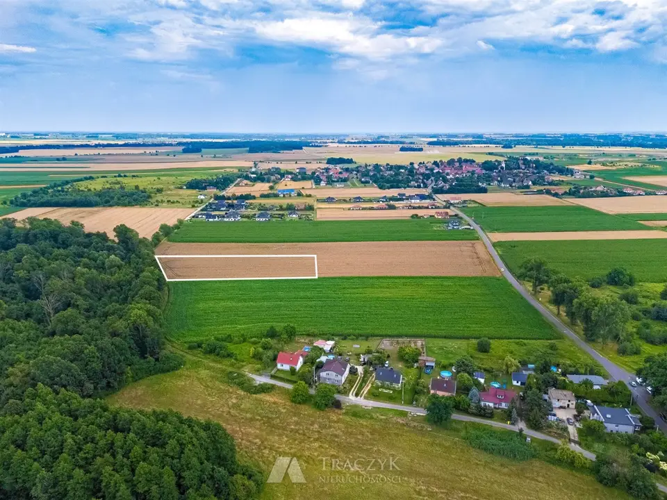 Działka rolna 9 500 m², Zachowice