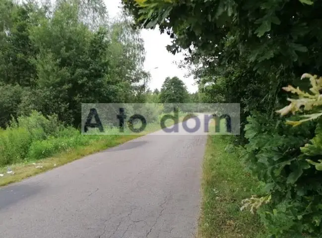 Zdjęcie 2