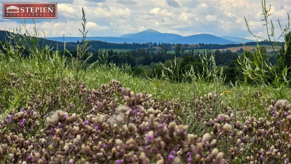 Działka budowlana 1 209 m², Jabłów