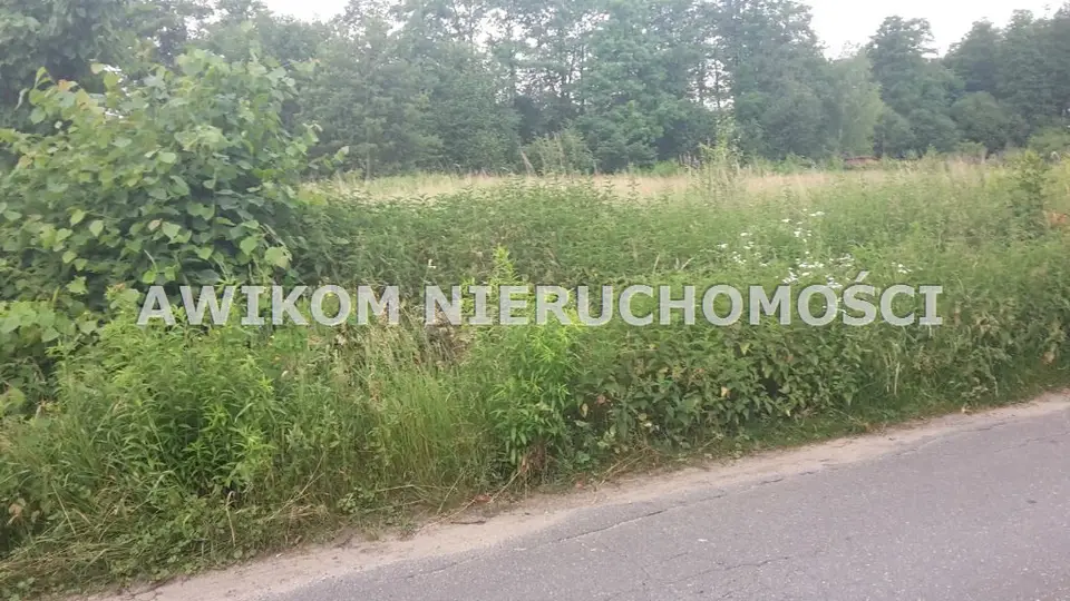 Działka budowlana i siedliskowa 2 100 m², Adamów-Wieś
