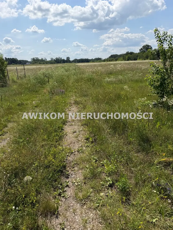 Zdjęcie 6