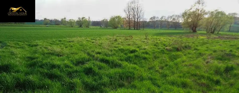 Działka budowlana 2 600 m², Wierzbna