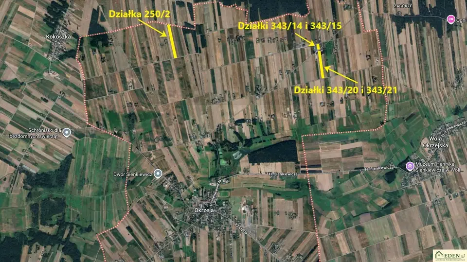 Zdjęcie 3