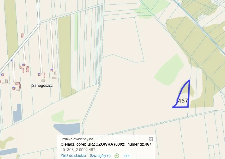 Zdjęcie 11