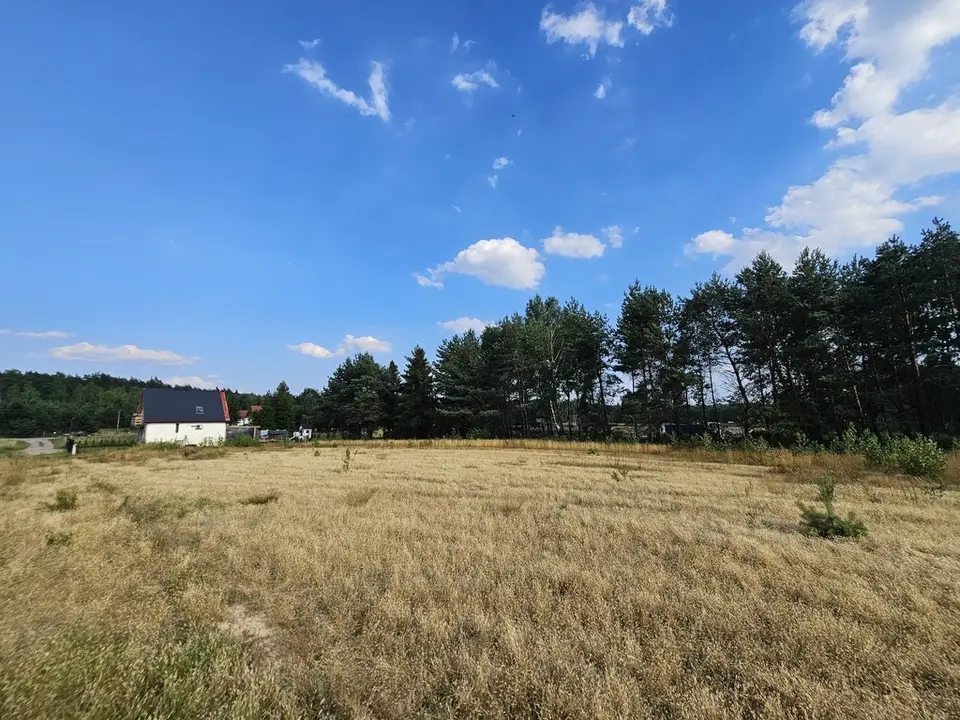 Zdjęcie 8