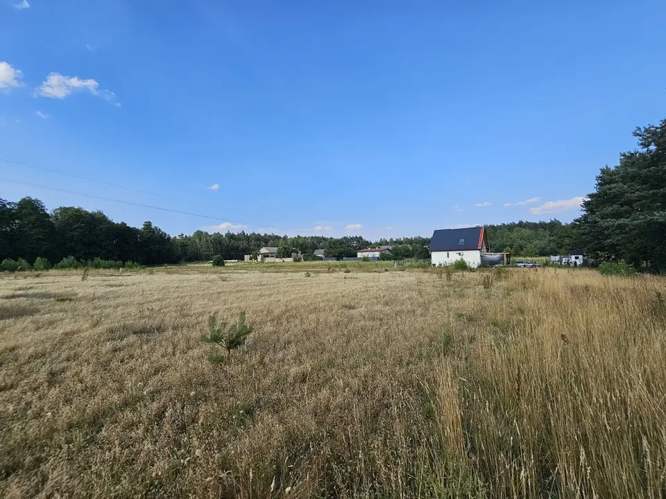 Zdjęcie 9