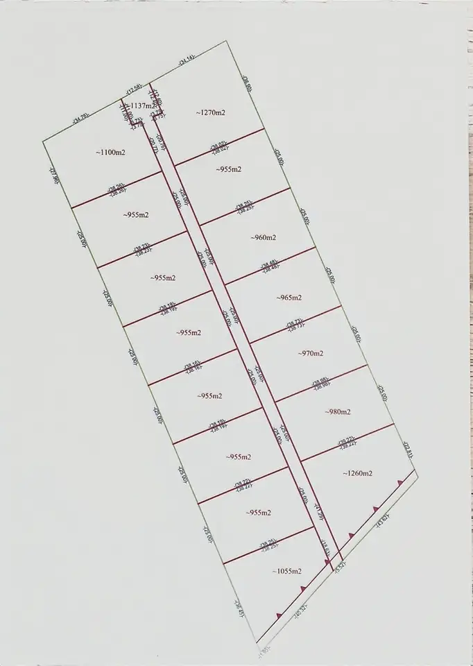 Zdjęcie 5