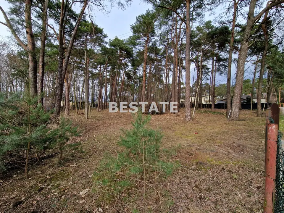 Zdjęcie 6