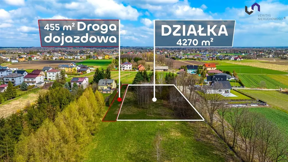 Zdjęcie 3