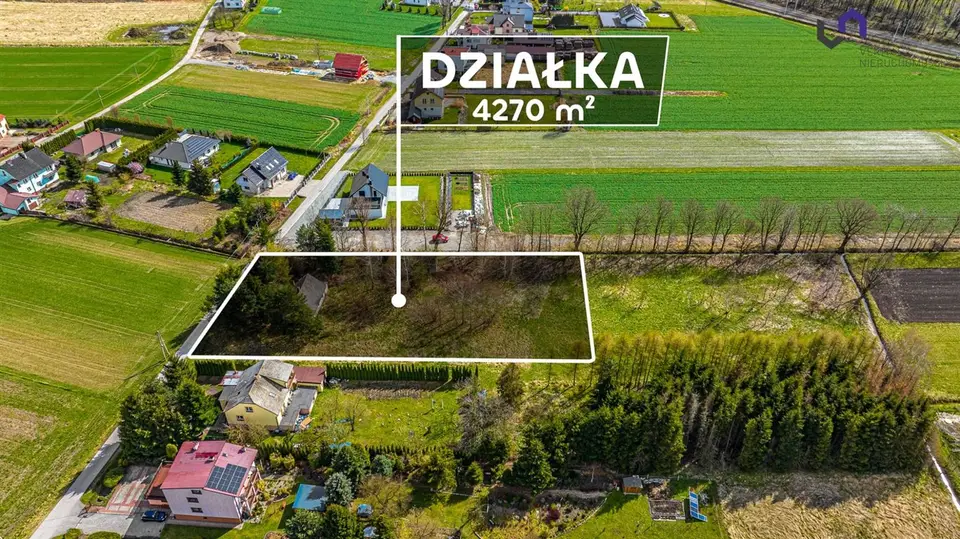 Zdjęcie 4