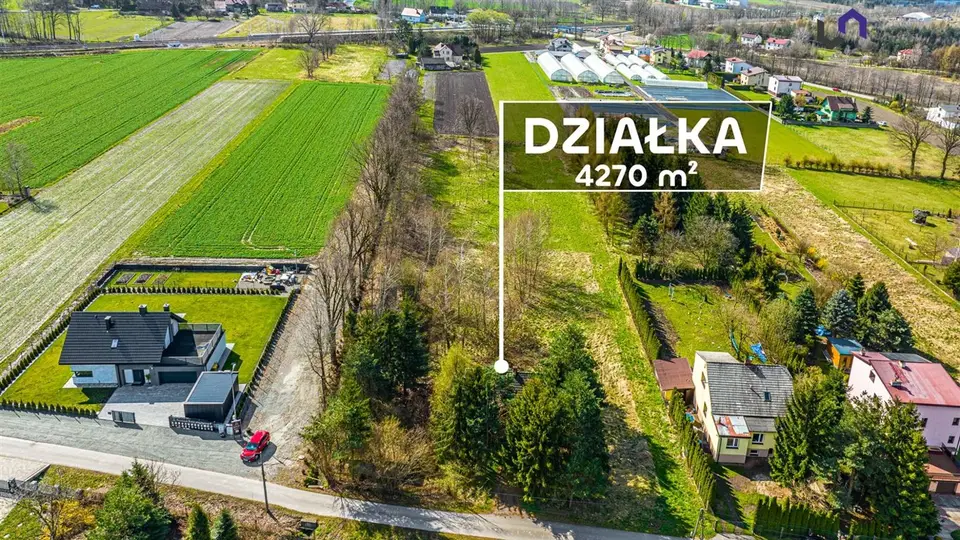 Zdjęcie 5