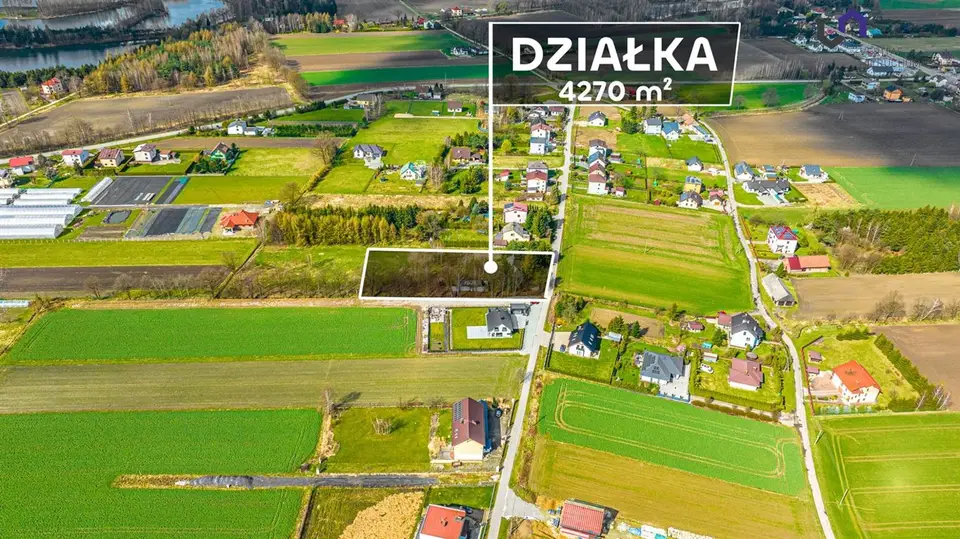 Zdjęcie 7
